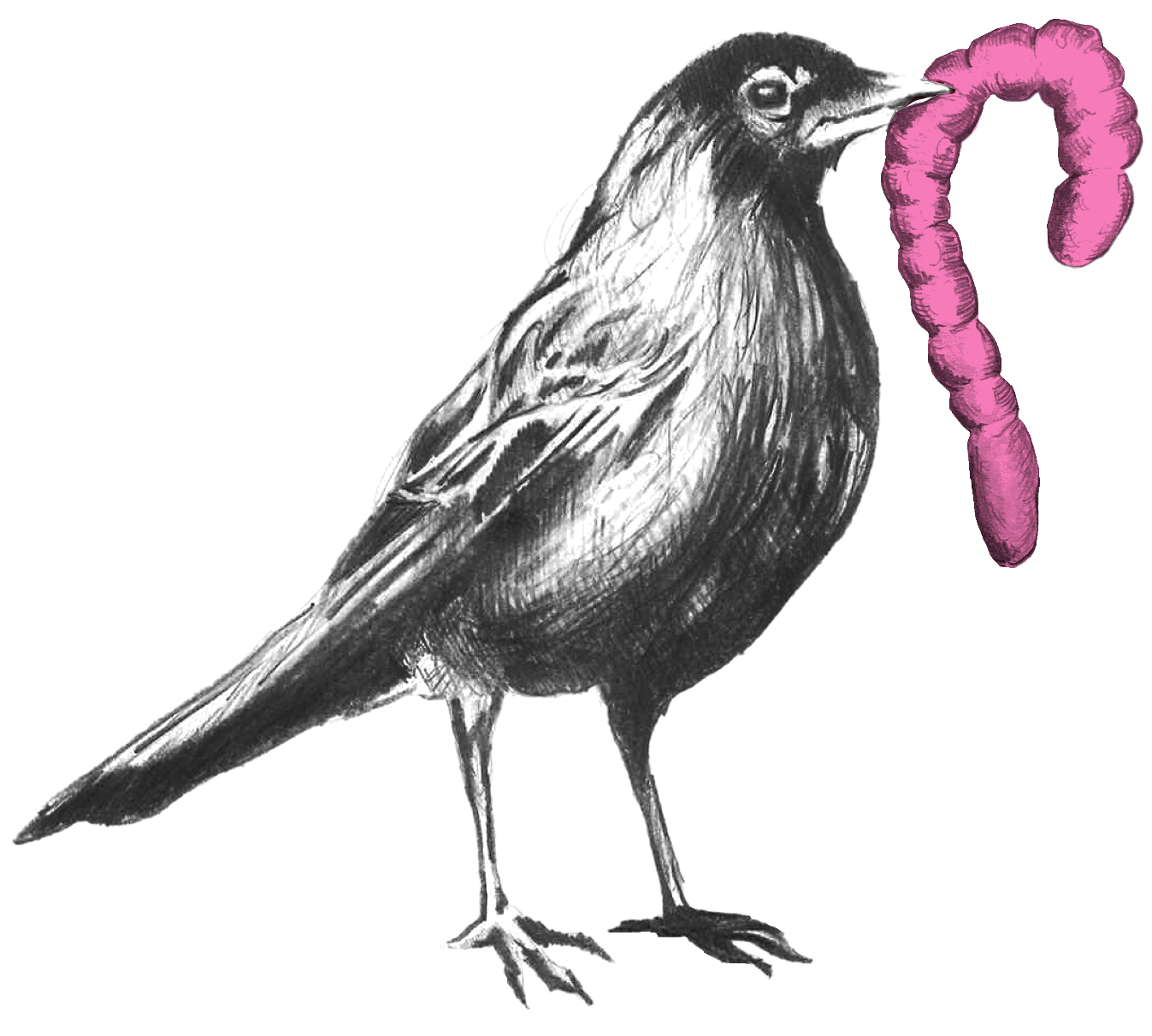 Arts & Letters™ Logo